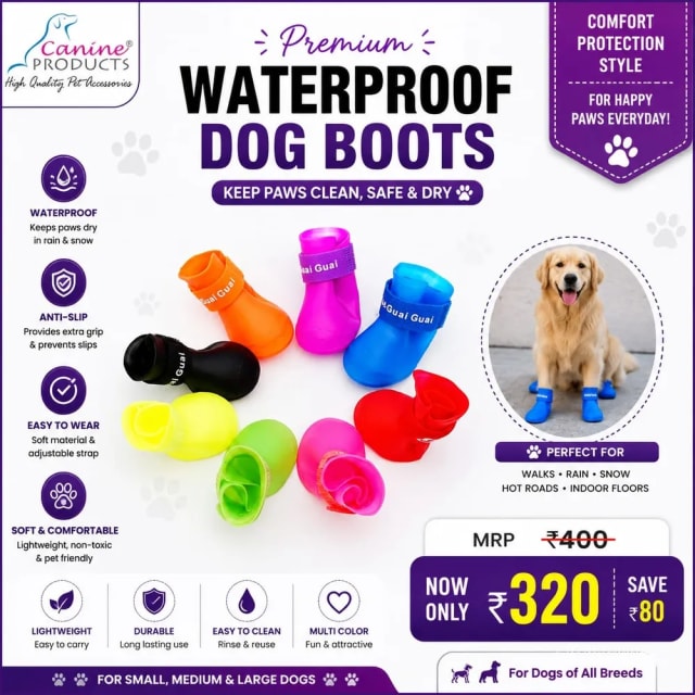 GUAI GUAI SHOES SMALL SIZE CP-1680 by Canine product
