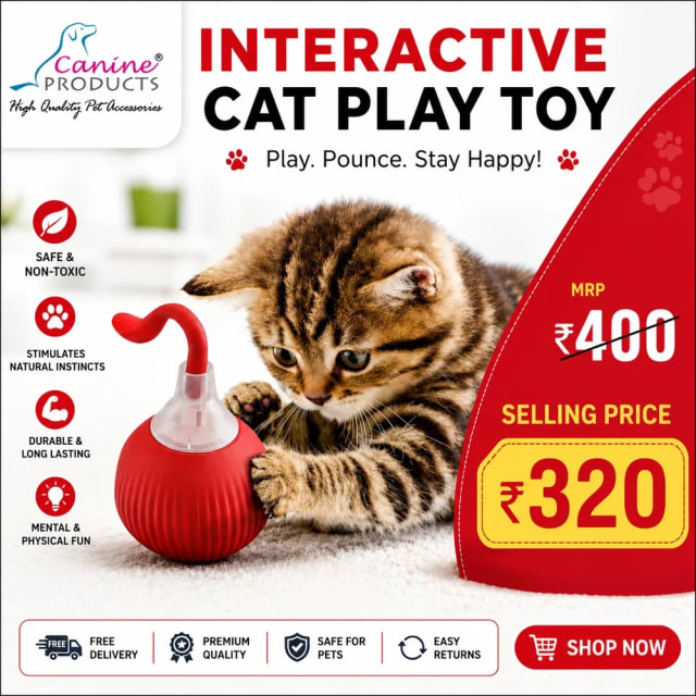 GRAVITY BALL P03 CP-4070 by Canine product