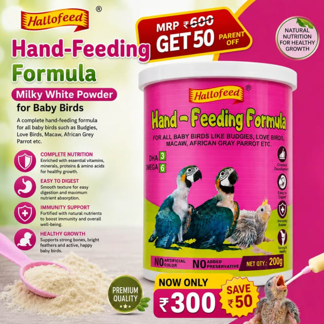HELLO FEED HANDFEEDING FORMULA by Petmaza