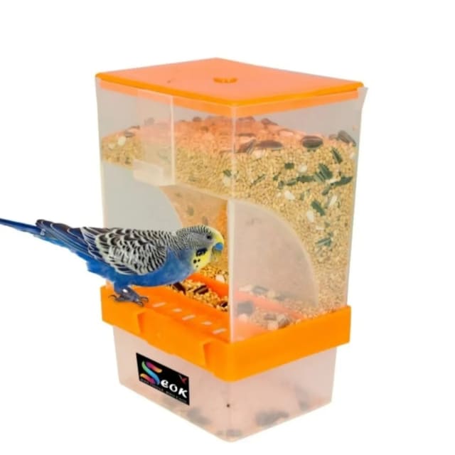300 Grams Automatic  Seed Feeder by BIRDHOUSE FOR BIRDS
