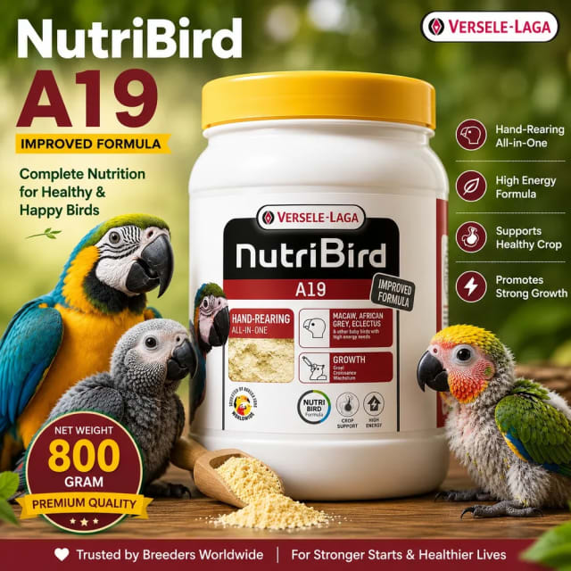 Nutri Bird A 19  800 gm by Petmaza