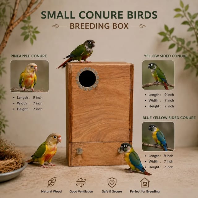 Small conour , pineapple conour, yellow sided conour ,blue  yellow sided conour breeding box lenth-14, hight -10, width -10 by Petmaza