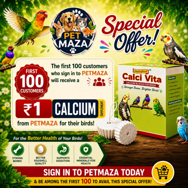 Calci Vita Calcium Medicine For Birds by Hallofeed