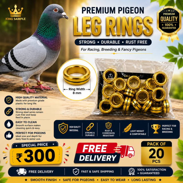 Pigeon Leg Ring 20 Pic by Petmaza