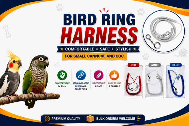Bird Ring Harness by Petmaza