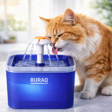 branded PET FOUNTAIN WATER DISPENSER by Petmaza