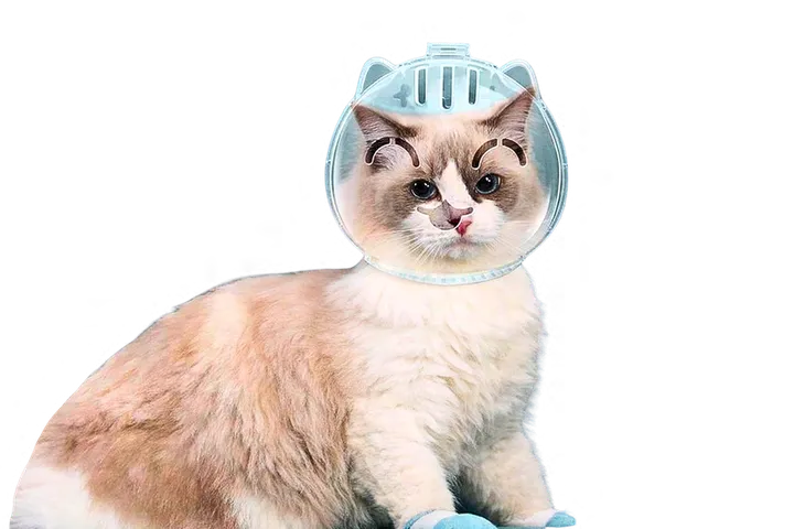 CAT ANTI BITE MUZZLE by Petmaza