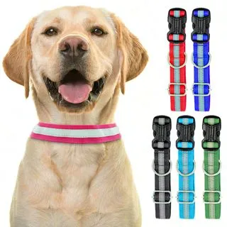 REFLECTIVE DOG COLLAR by Petmaza