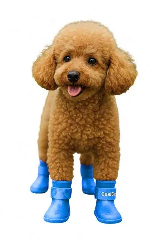 PET SHOES (S) by Petmaza