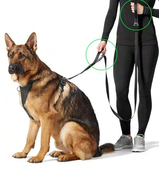 DOUBLE HANDLE REFLECTIVE DOG LEASH by Petmaza