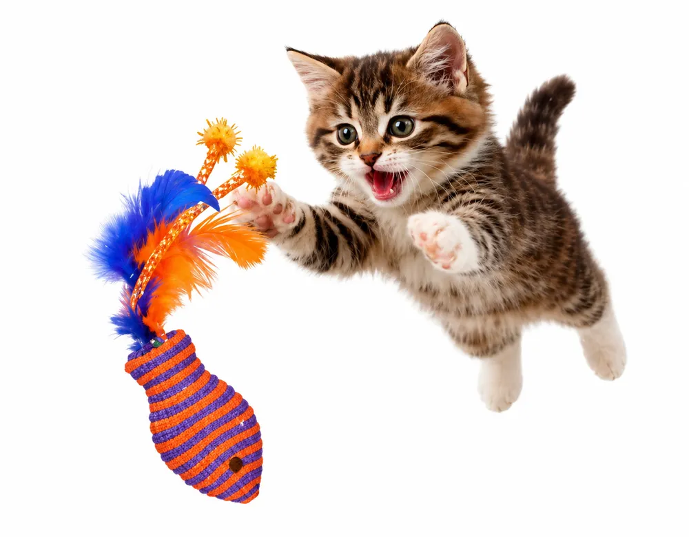 Interactive Feather Cat Toy with Plush Mouse by Petmaza