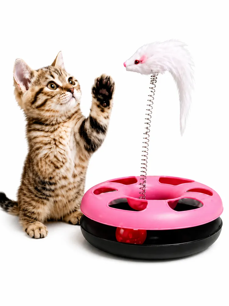 Happy Circle Interactive Cat Toy by Petmaza