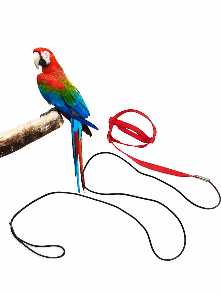 Bird Harness & Leash Set (Adjustable – Red) by Petmaza