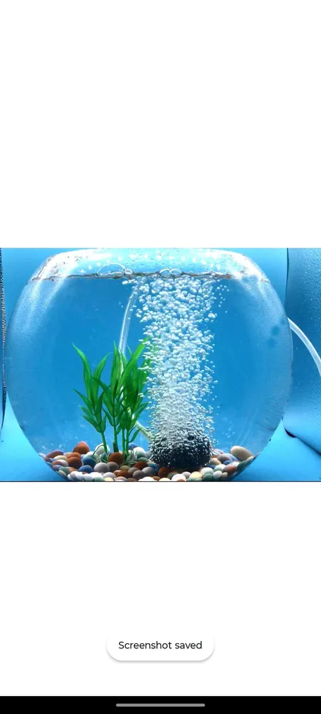 Aquarium Decoration kit Plant 5 Air Pump air tube Air Stone (Color Stones 1kg) River Rock Planted Substrate (Multicolor, 1 kg) by Petmaza