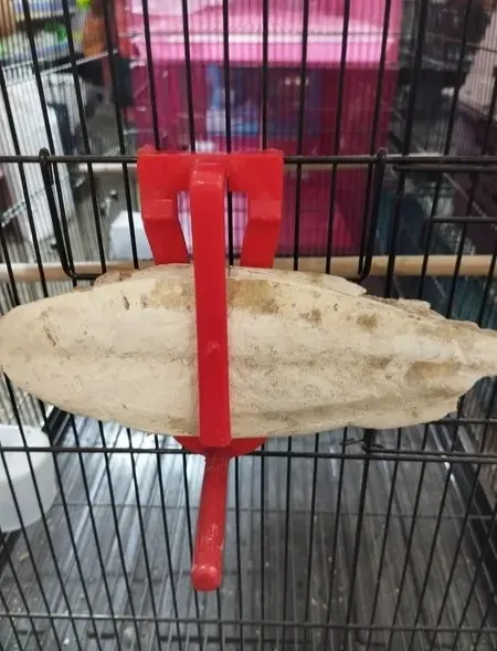 CUTTLE BONE HOLDER by Petmaza