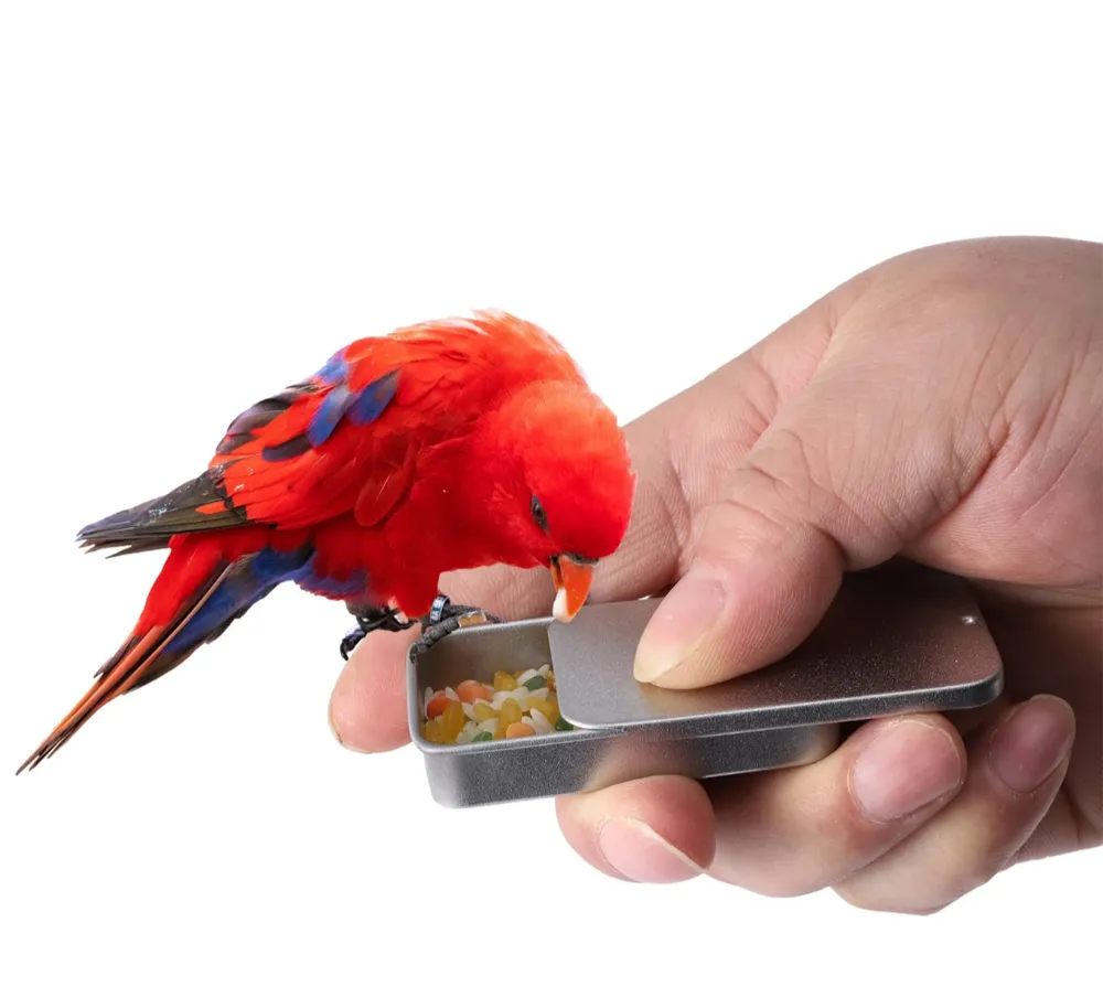 Handled Tame Bird Feeder by Petmaza