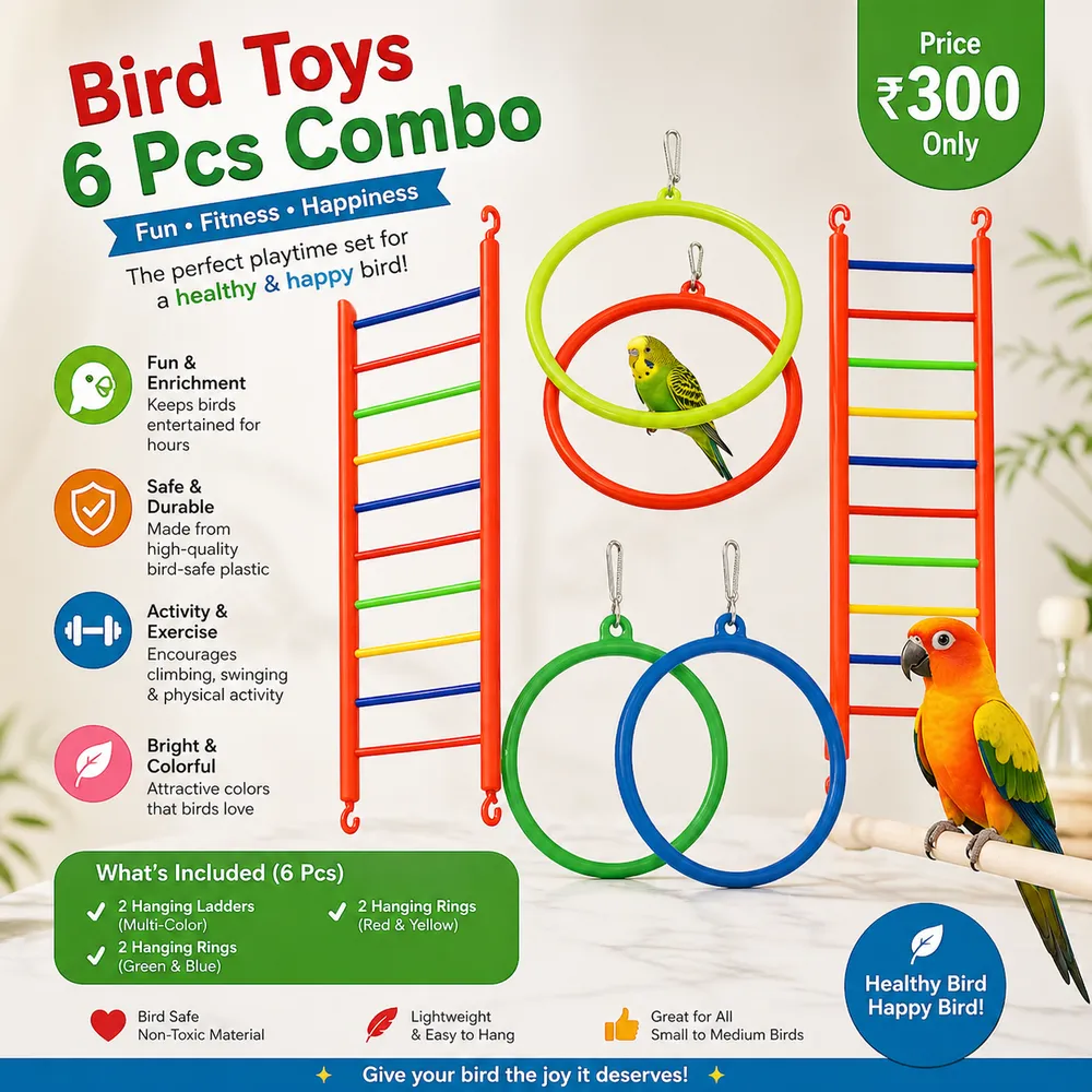 6 pic bird toys by Petmaza