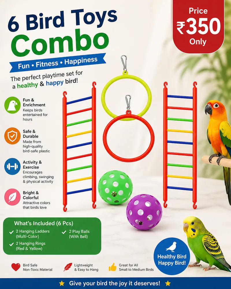 6 Bird Toys Combo by Petmaza