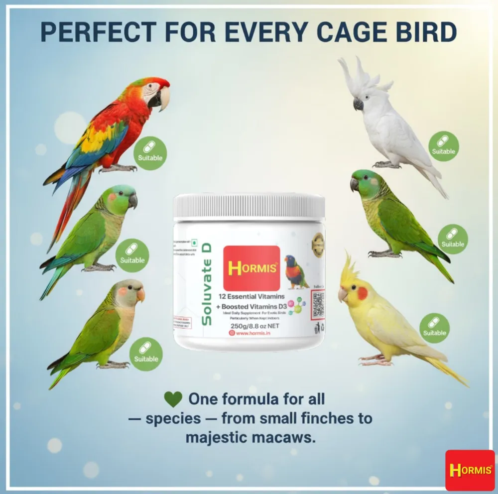 HORMIS Soluvate D Multivitamin for Caged Birds 250g by Petmaza