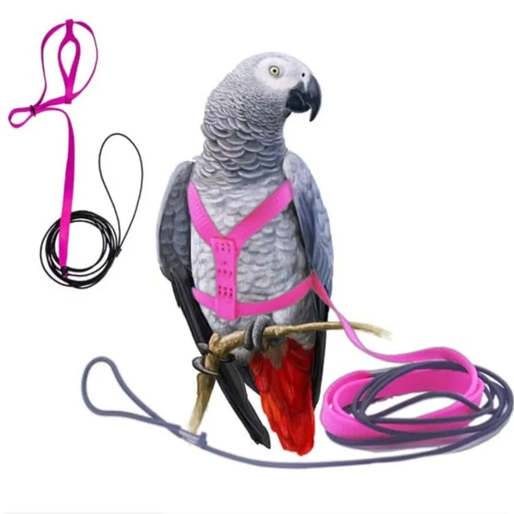 Imported African gray Eclectus Amezon Harness Size-large by BIRDHOUSE FOR BIRDS