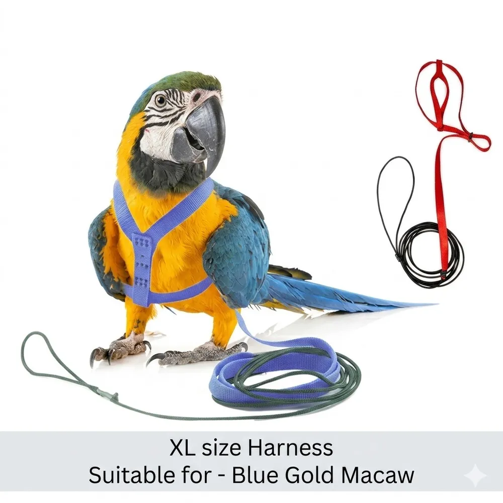 Imported  blue gold macow large cockatoo harness size-XL by BIRDHOUSE FOR BIRDS