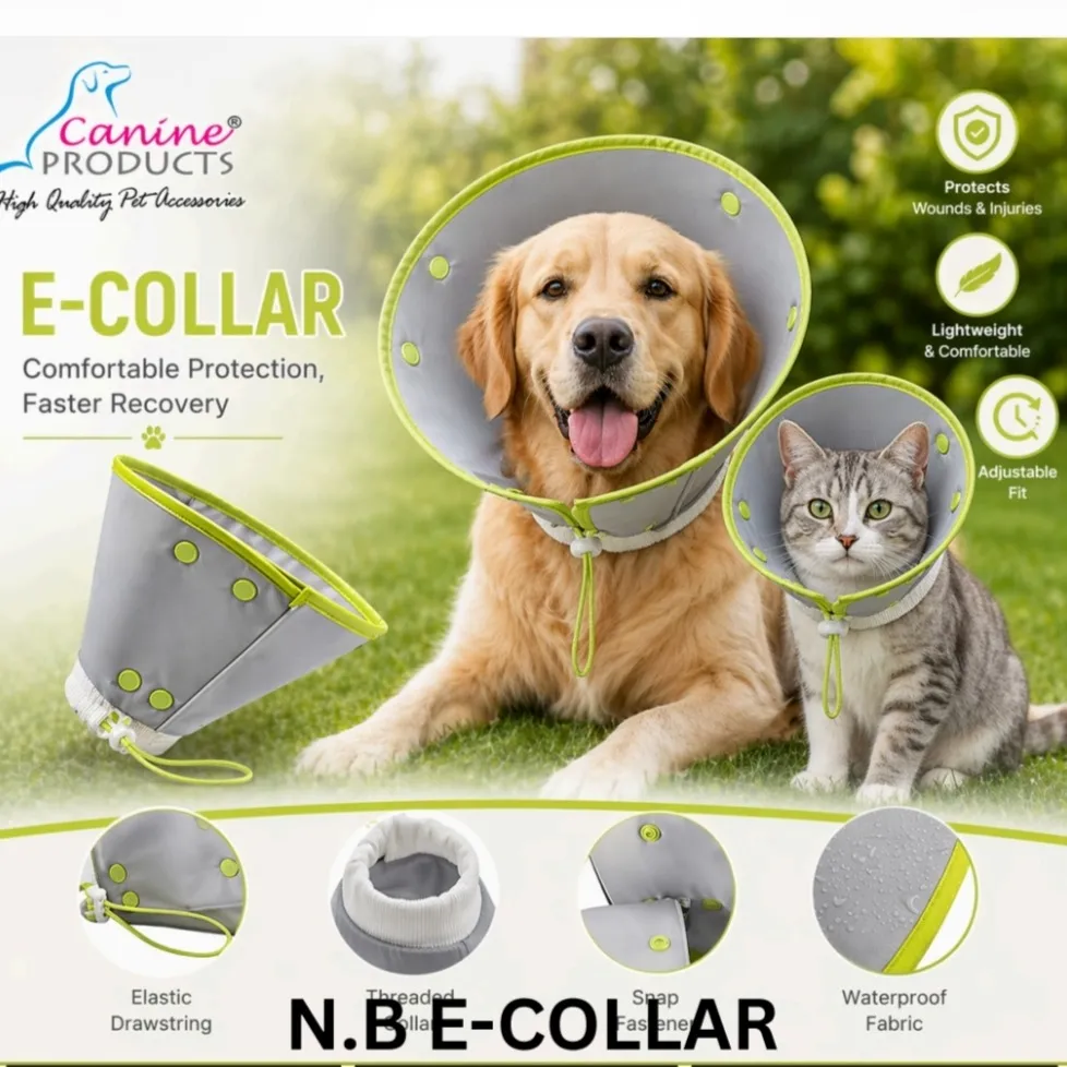 N.B E Coller by Canine product