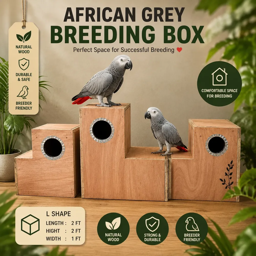 African Gray Breeding  Box 18mm plywood  size -lenth-2ft, Hight-2ft,width-1ft by Petmaza