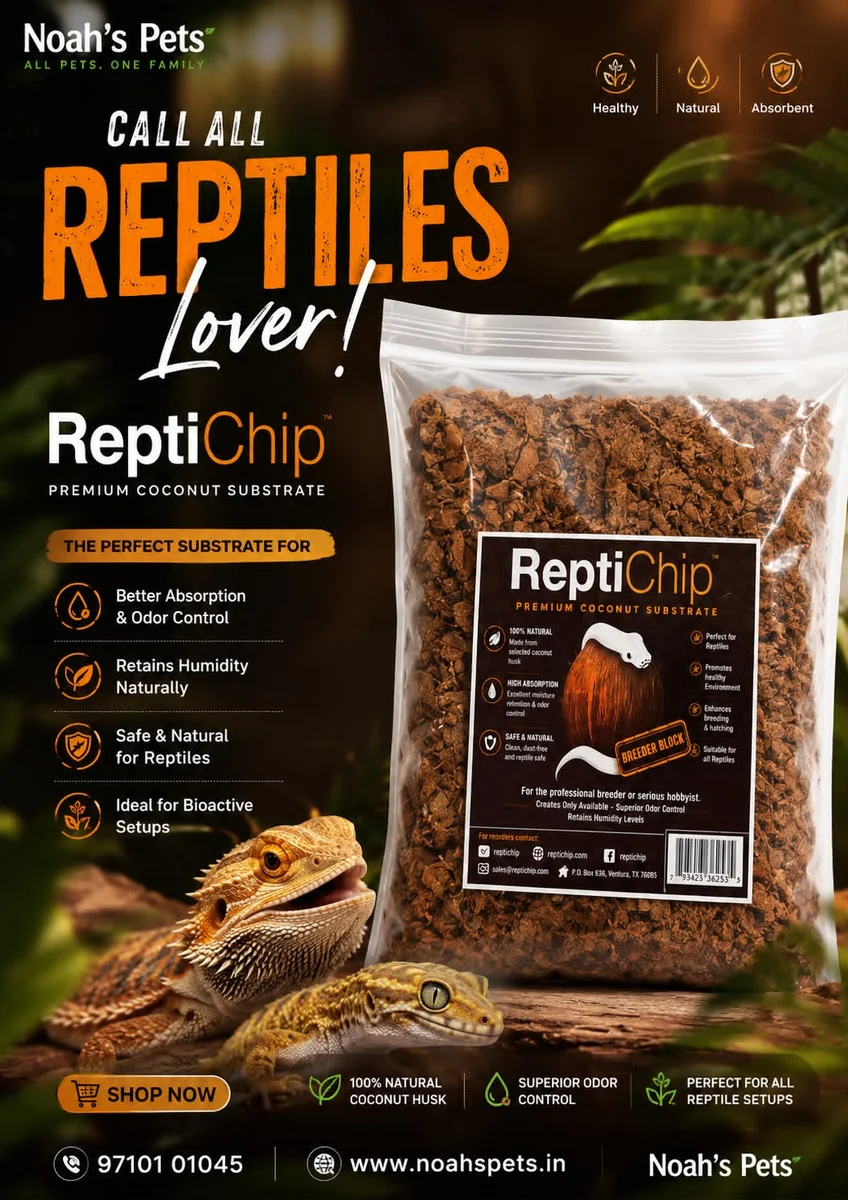 Repti Chips Primium Coconut Substrate 500gm by Petmaza