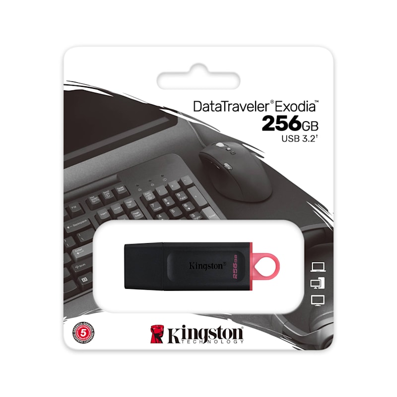 Pendrive KINGSTON 256gb