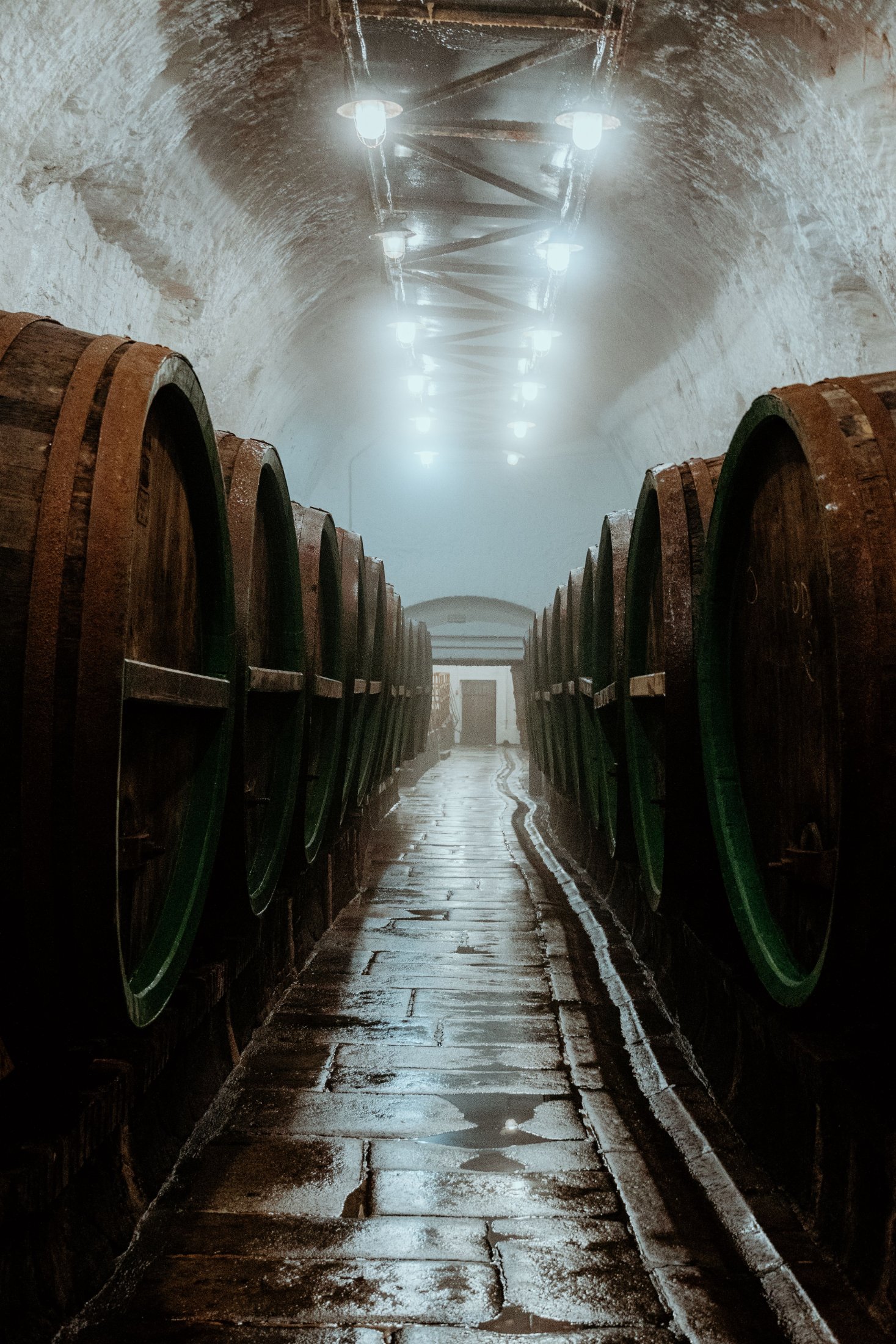 Bodegas
