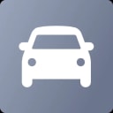 Driving Setup icon