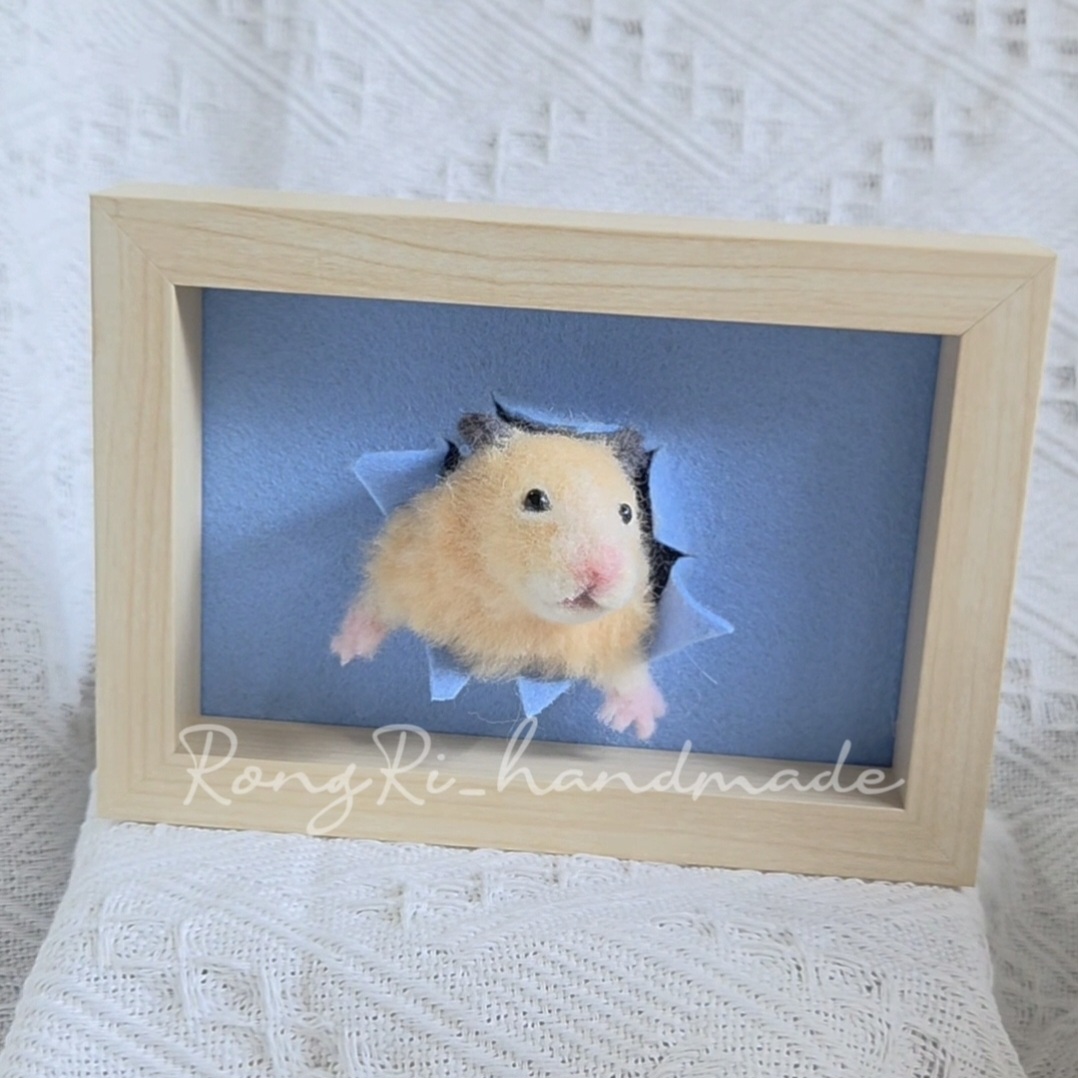 探頭相框款示例