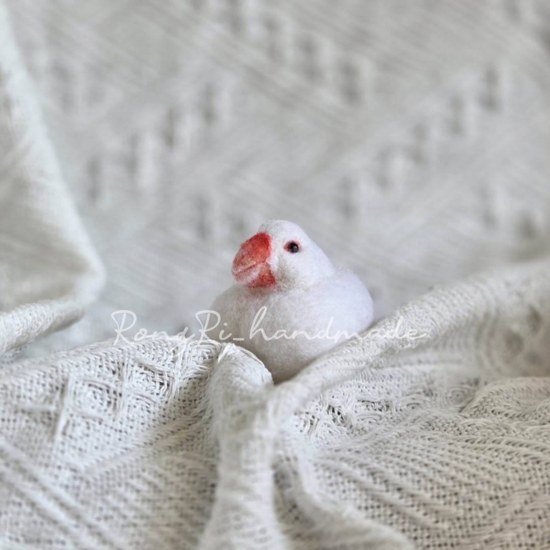 羊毛氈手作作品－白文鳥