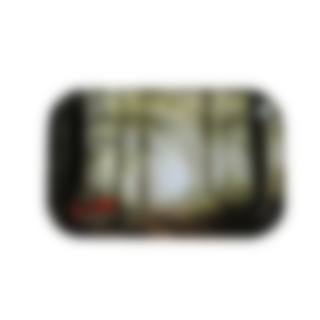 RAW | Forest Rolling Tray | S