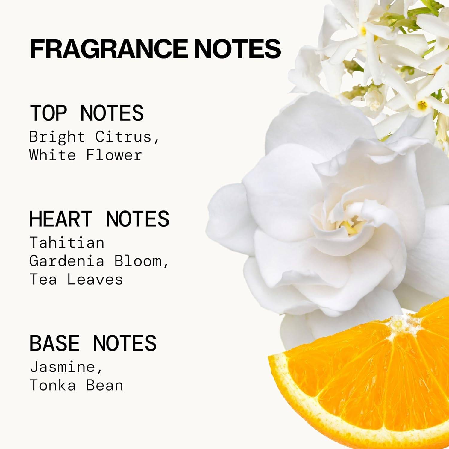 Ad Image 2
