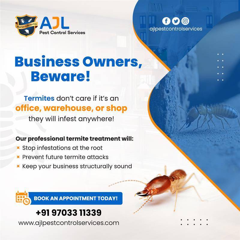 Ad Image 2