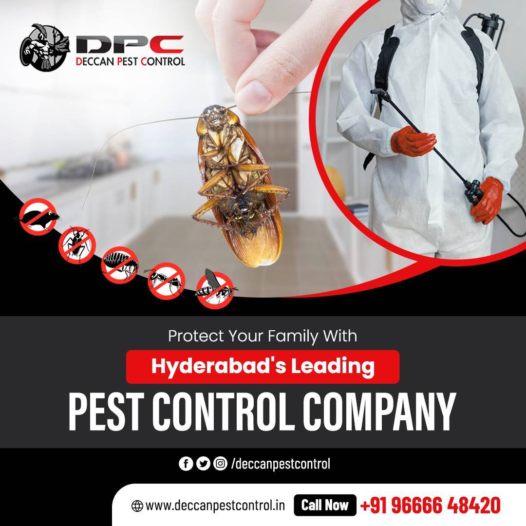 Ad Image 2