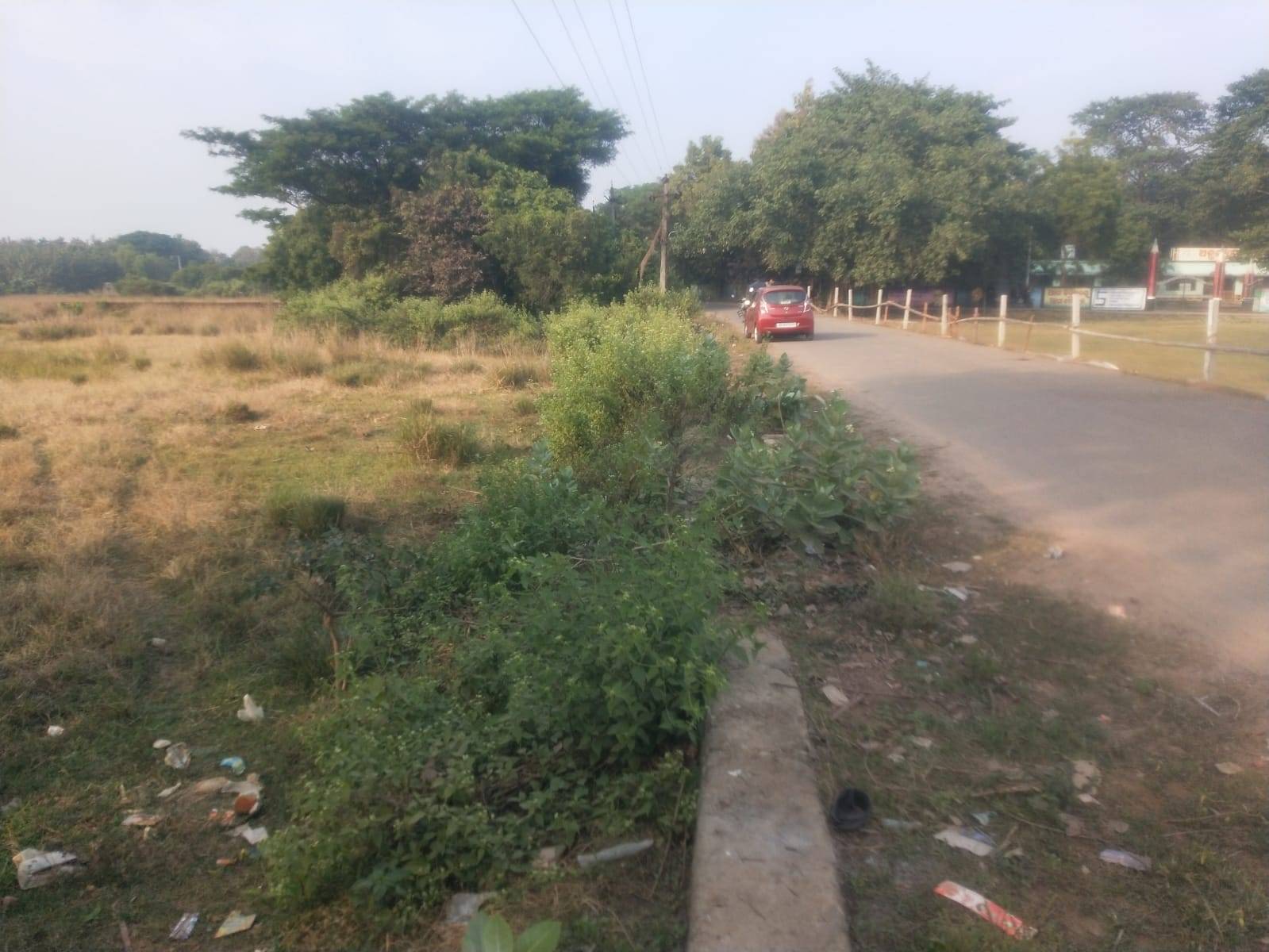 Ad Image 4