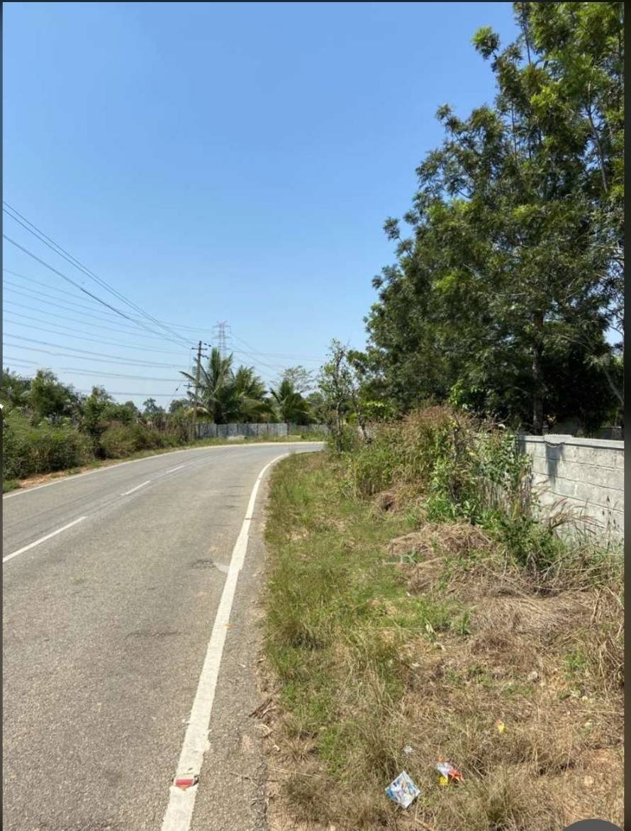 Ad Image 3