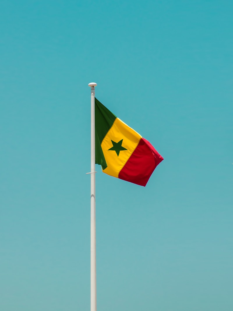 De la crise institutionnelle à la maturité démocratique : quelle leçon pour le Sénégal ?