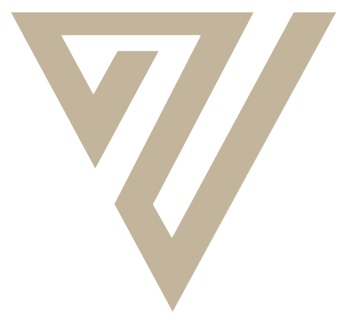 VIZMO Logo