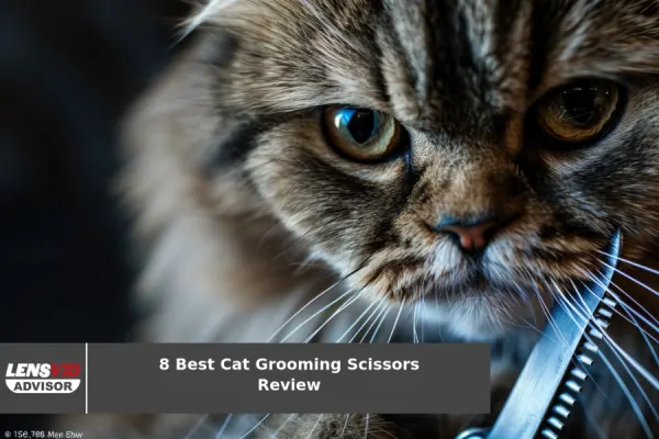 8 Best Cat Grooming Scissors Review