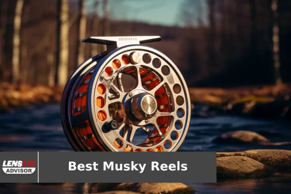 Piscifun Alijoz 400 Reel Review 