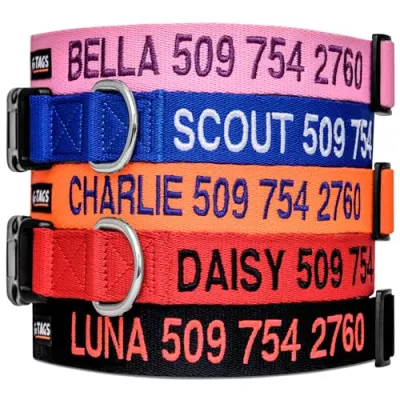 GoTags Personalized Dog Collar (Blue)