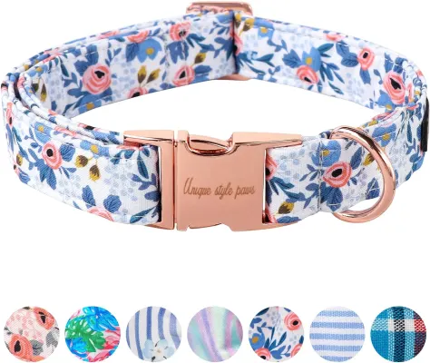 Unique Style Paws Dog Collar Metal Buckle Collar Blue Flower XL