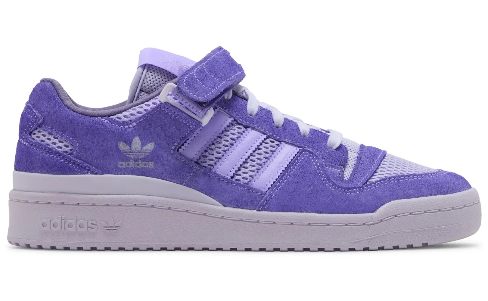 FORUM 84 LOW 8K