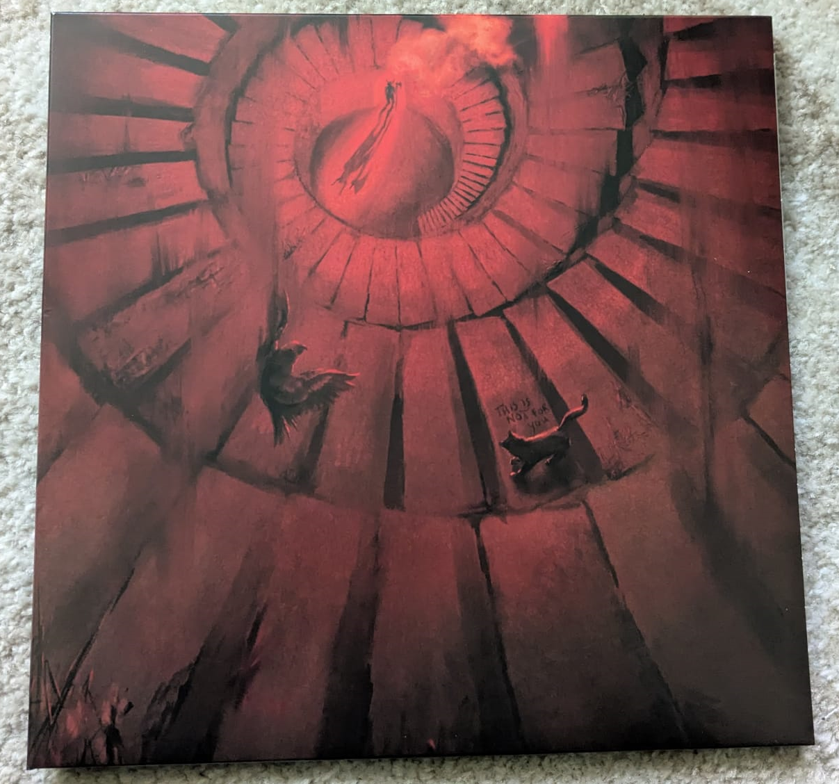 This Is Not For You - Vinyl Record