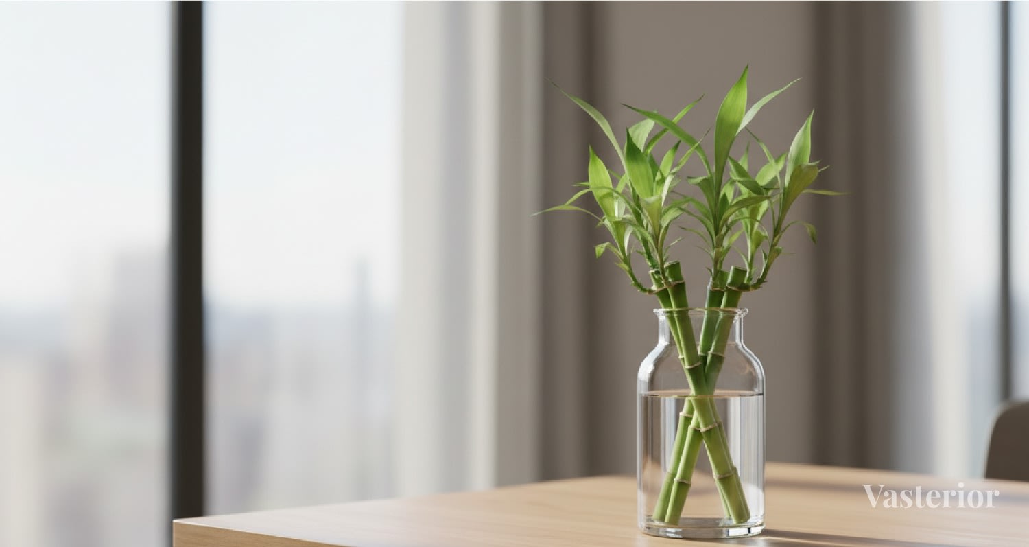 Vastu for Plants: Which Indoor Plants Actually Improve Home Energy (And Which Don't) - 2) Lucky Bamboo - 1