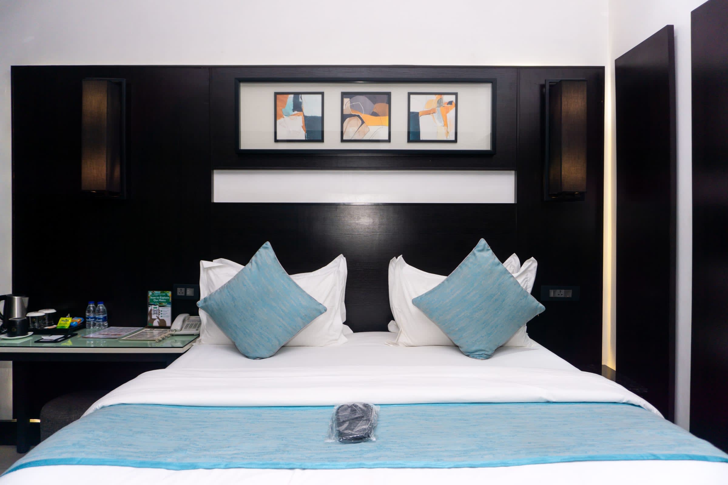 Deluxe Room - image 3
