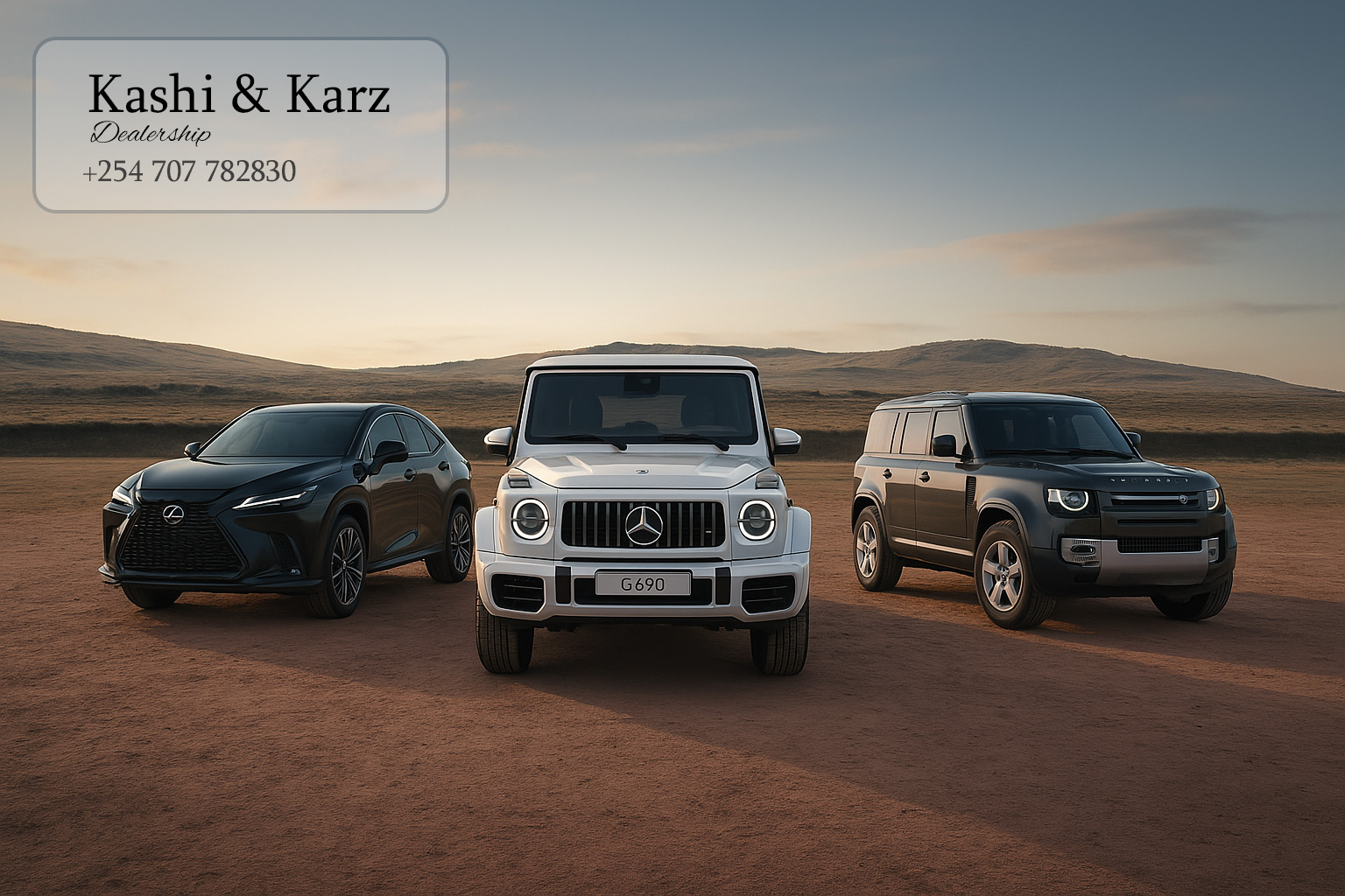 Professional & Reliable Service